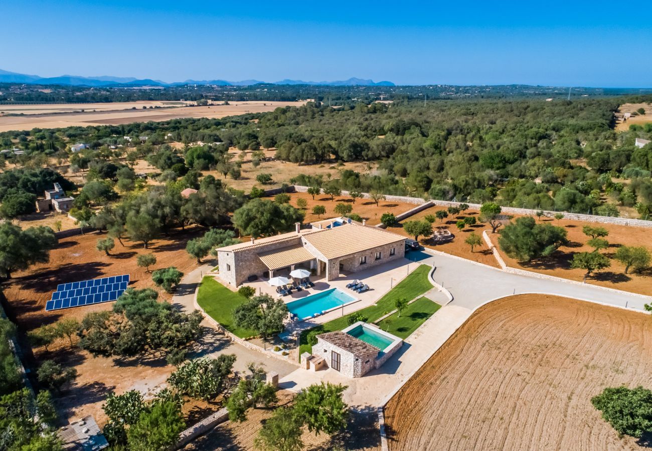 Finca en Ariany - Finca Sa Canova Ariany piscina casa Arbol Mallorca