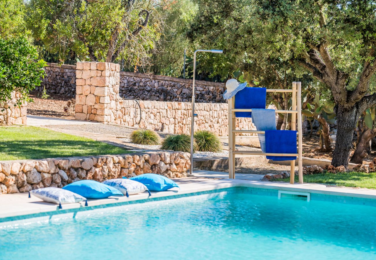 Finca en Ariany - Finca Sa Canova Ariany piscina casa Arbol Mallorca