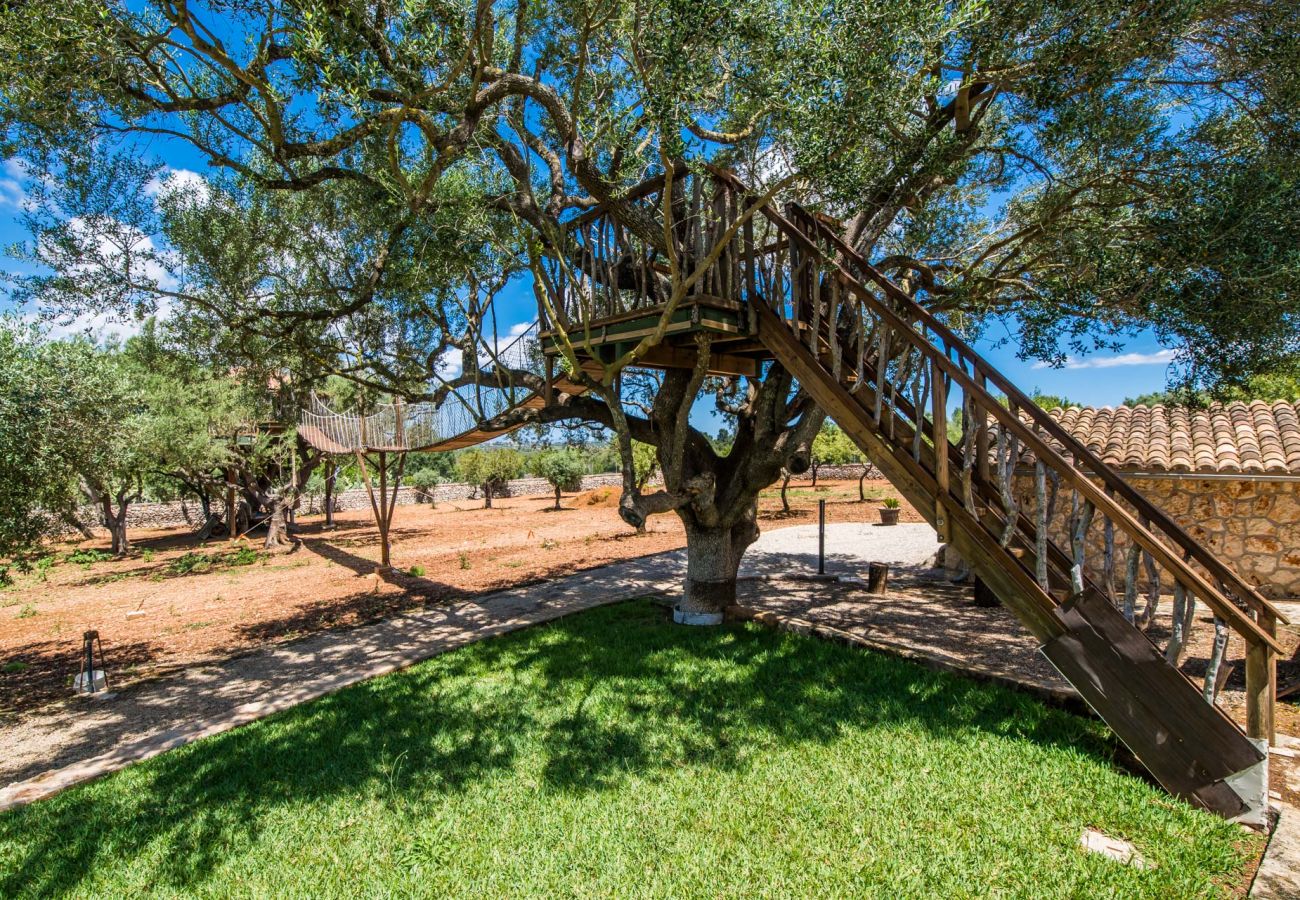 Finca en Ariany - Finca Sa Canova Ariany piscina casa Arbol Mallorca