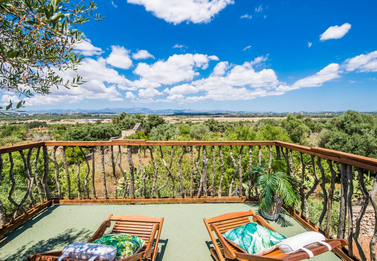 Finca en Ariany - Finca Sa Canova Ariany piscina casa Arbol Mallorca