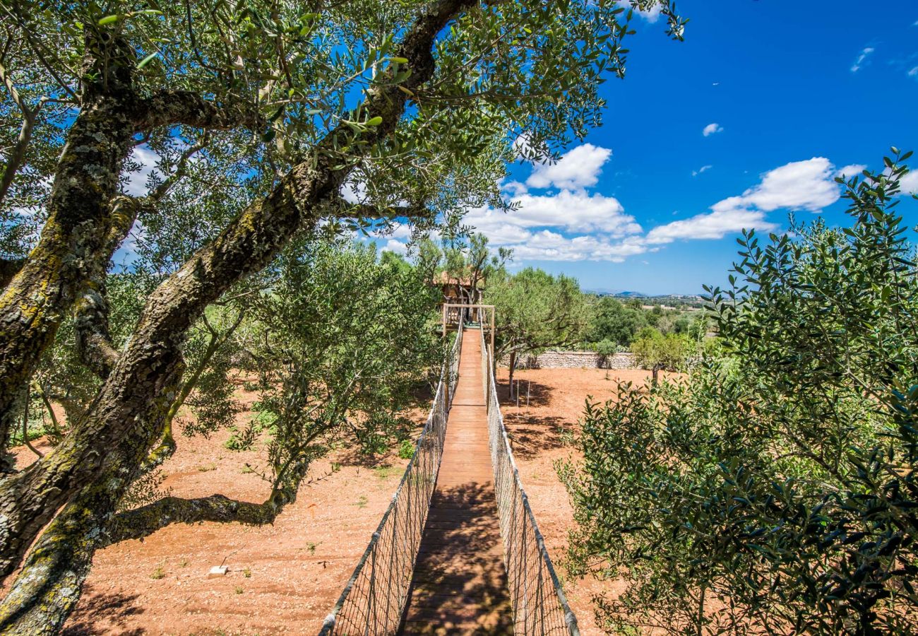 Finca en Ariany - Finca Sa Canova Ariany piscina casa Arbol Mallorca