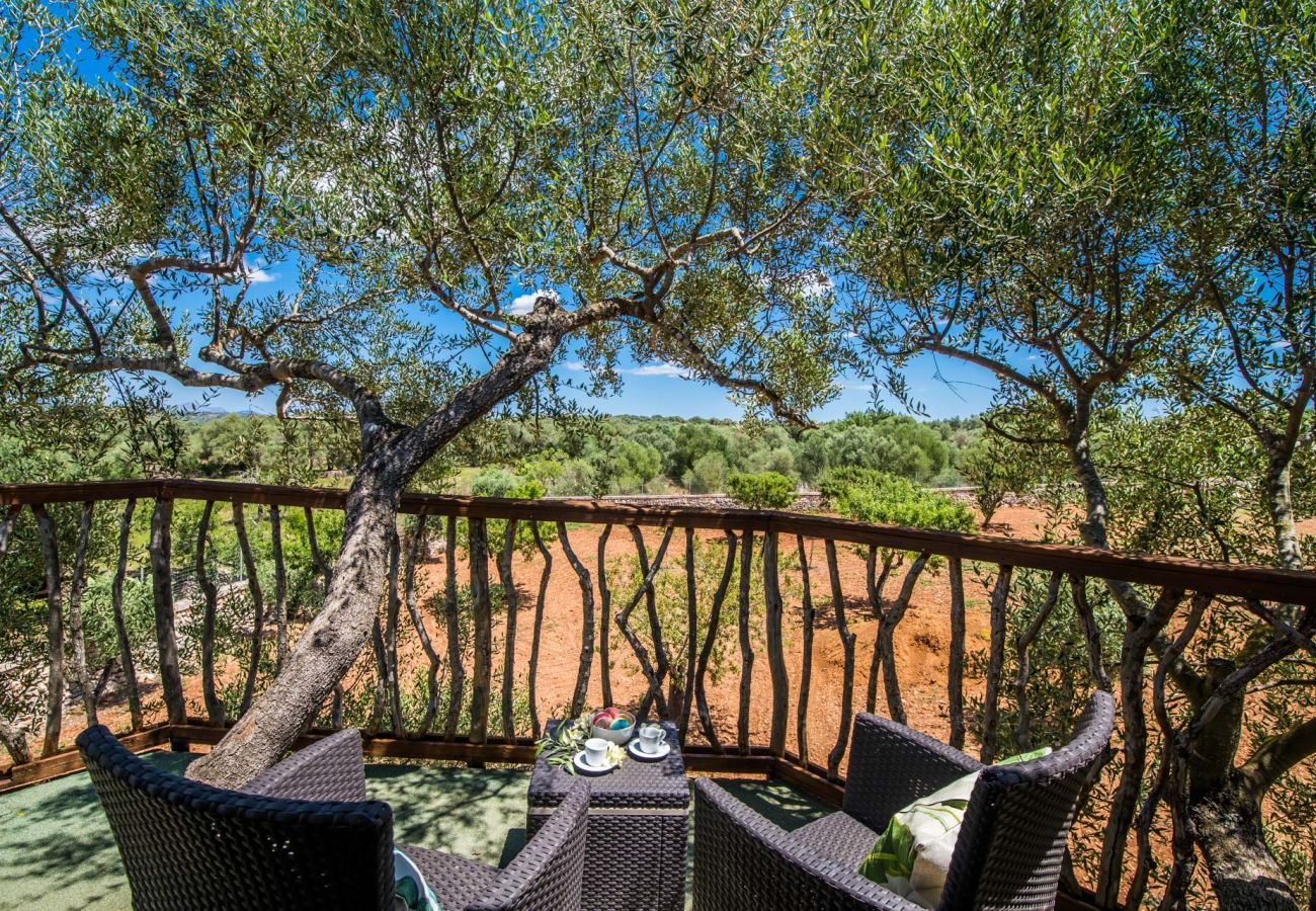 Finca en Ariany - Finca Sa Canova Ariany piscina casa Arbol Mallorca