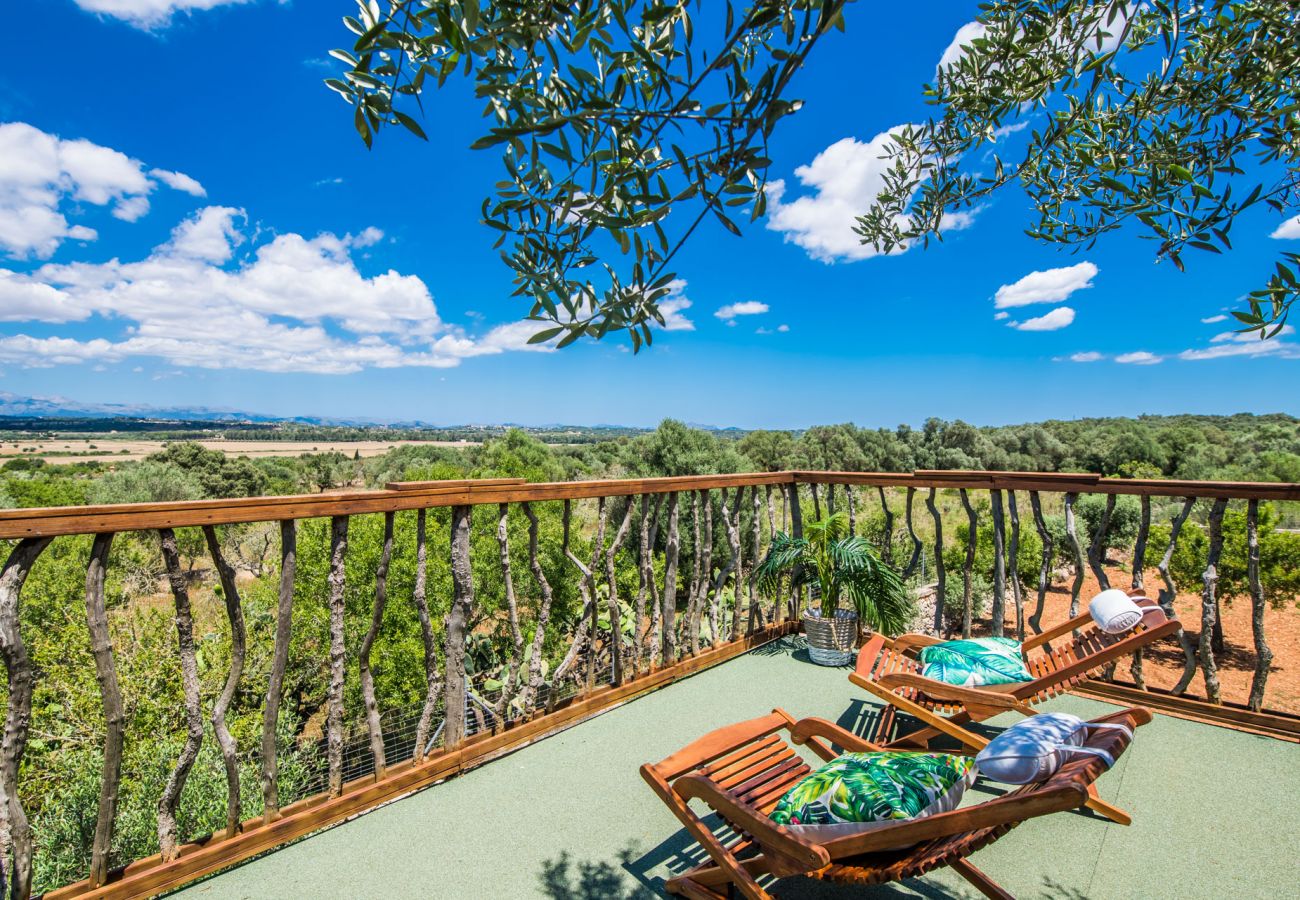 Finca en Ariany - Finca Sa Canova Ariany piscina casa Arbol Mallorca