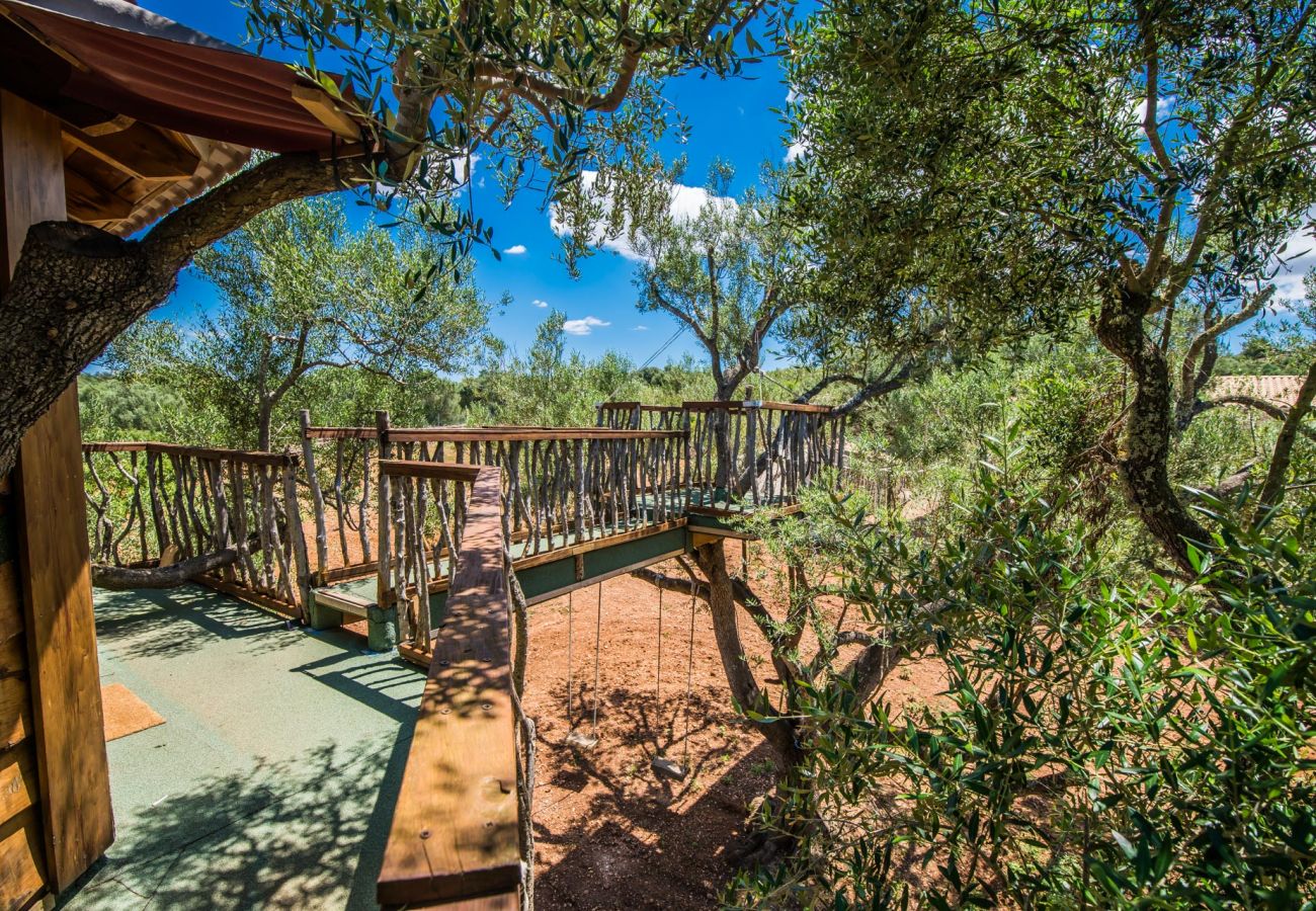 Finca en Ariany - Finca Sa Canova Ariany piscina casa Arbol Mallorca