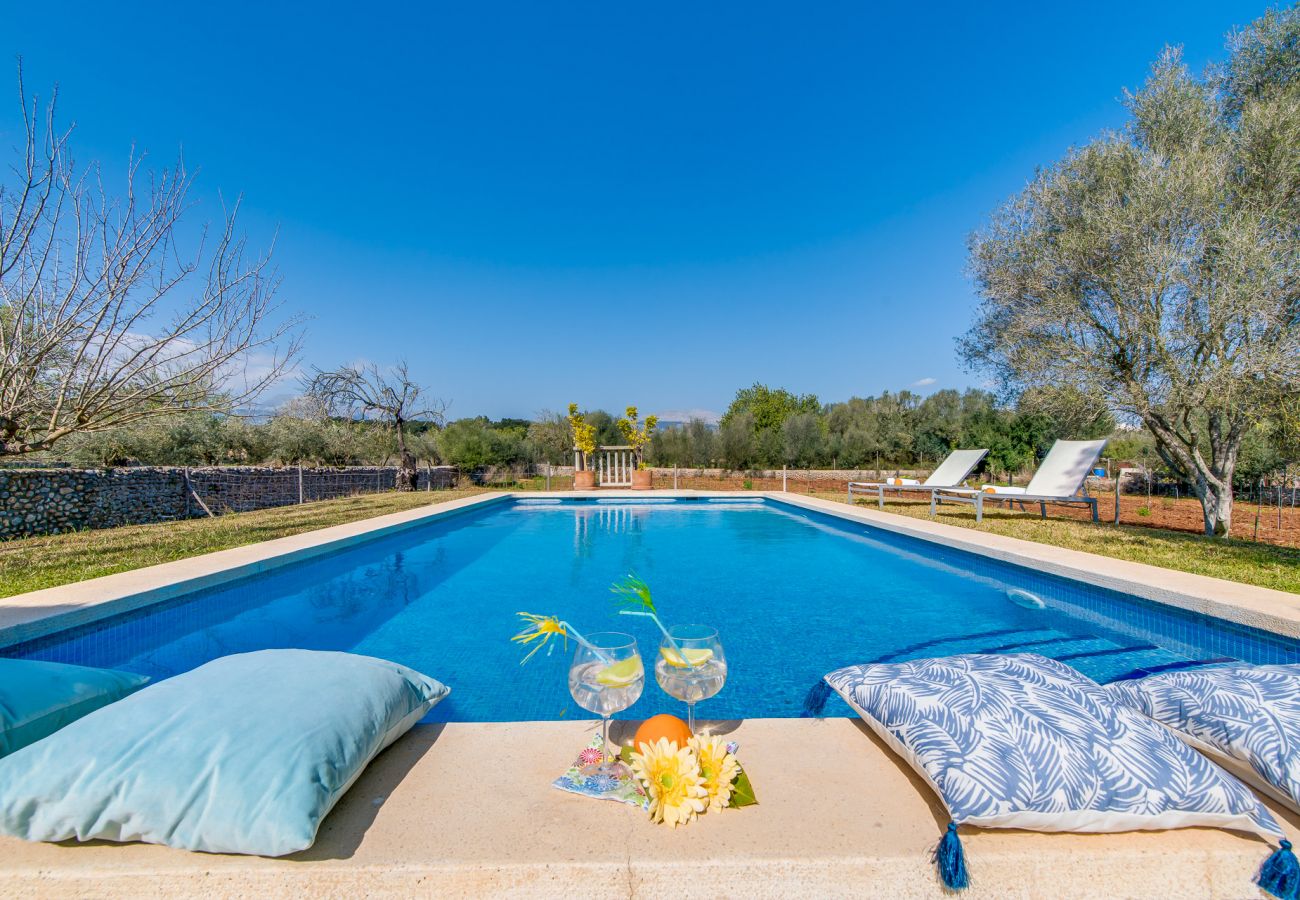 Finca en Buger - Finca de piedras Mallorca Ses Planes con piscina