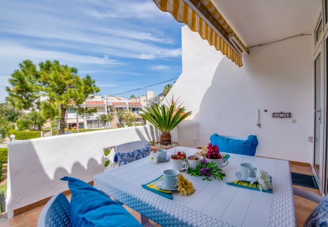 Apartamento en Alcúdia - Bonito Apartamento Silver con terraza en Alcudia  Apartamento en Alcúdia - Bonito Apartamento Silver con terraza en Alcudia
