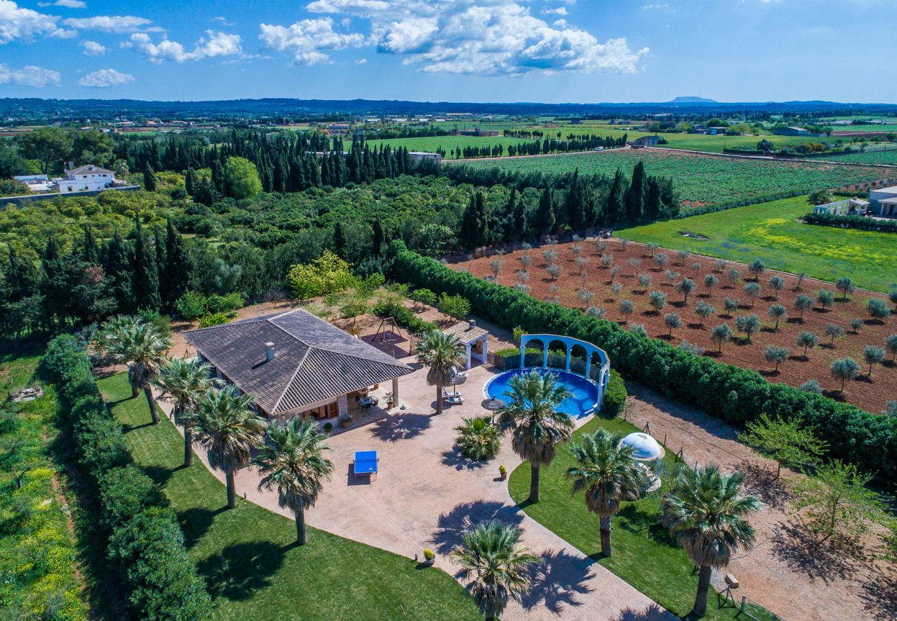 Finca en Sa Pobla - Finca Son Manyo 223 con piscina en Mallorca