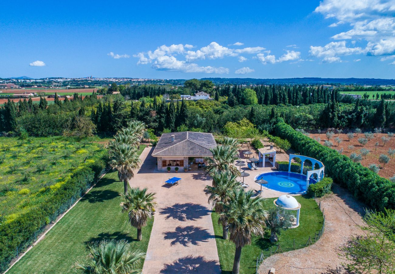 Finca en Sa Pobla - Finca Son Manyo 223 con piscina en Mallorca