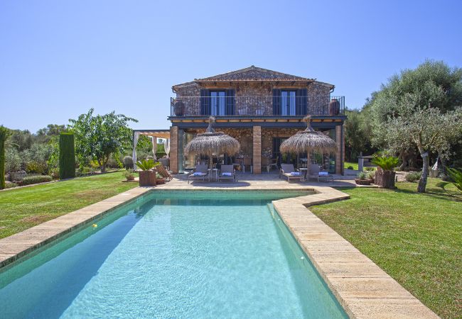 Llubi - Finca