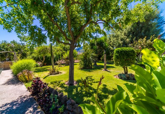 Finca en Pollensa - Finca rustica Pollensa Sa Sort Llarga con piscina