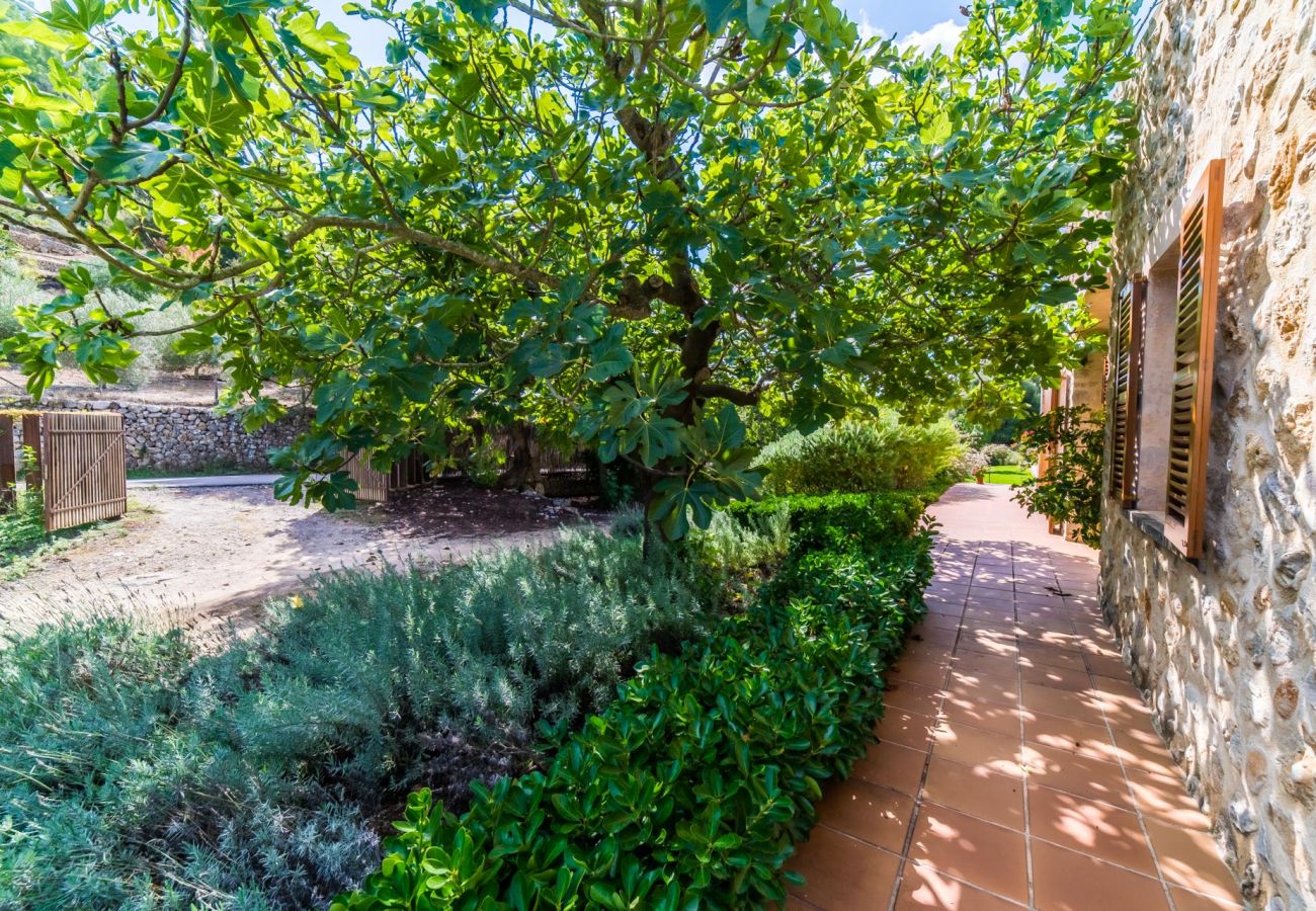 Finca en Campanet - Finca en la naturaleza Sa Vela piscina Mallorca