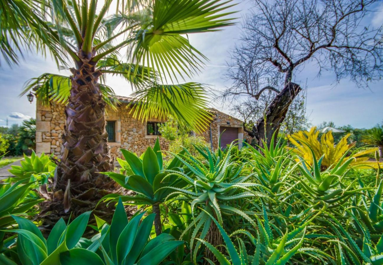 Finca en Buger - Finca rustica Sa Figuera blanca con piscina Mallorca 