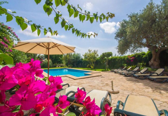 Casa de estilo rústico y piscina en Mallorca