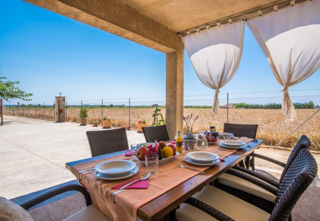 Finca en Sa Pobla - Finca sostenible Sa Vela de Son Puig en Mallorca Finca en Sa Pobla - Finca sostenible Sa Vela de Son Puig en Mallorca