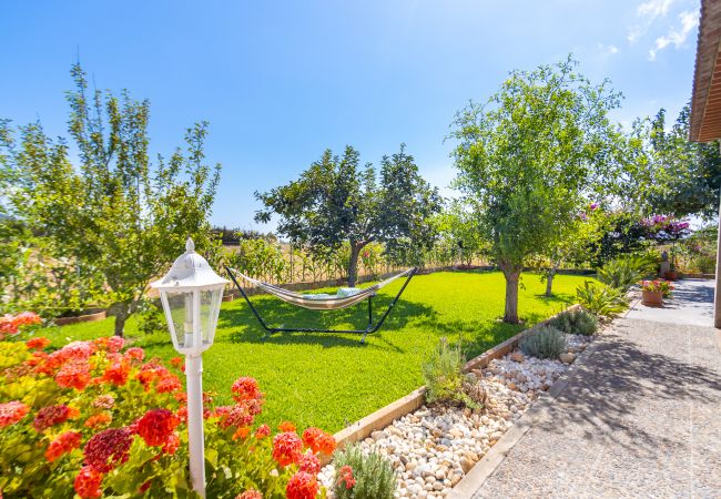 Finca en Sa Pobla - Finca sostenible Sa Vela de Son Puig en Mallorca Finca en Sa Pobla - Finca sostenible Sa Vela de Son Puig en Mallorca
