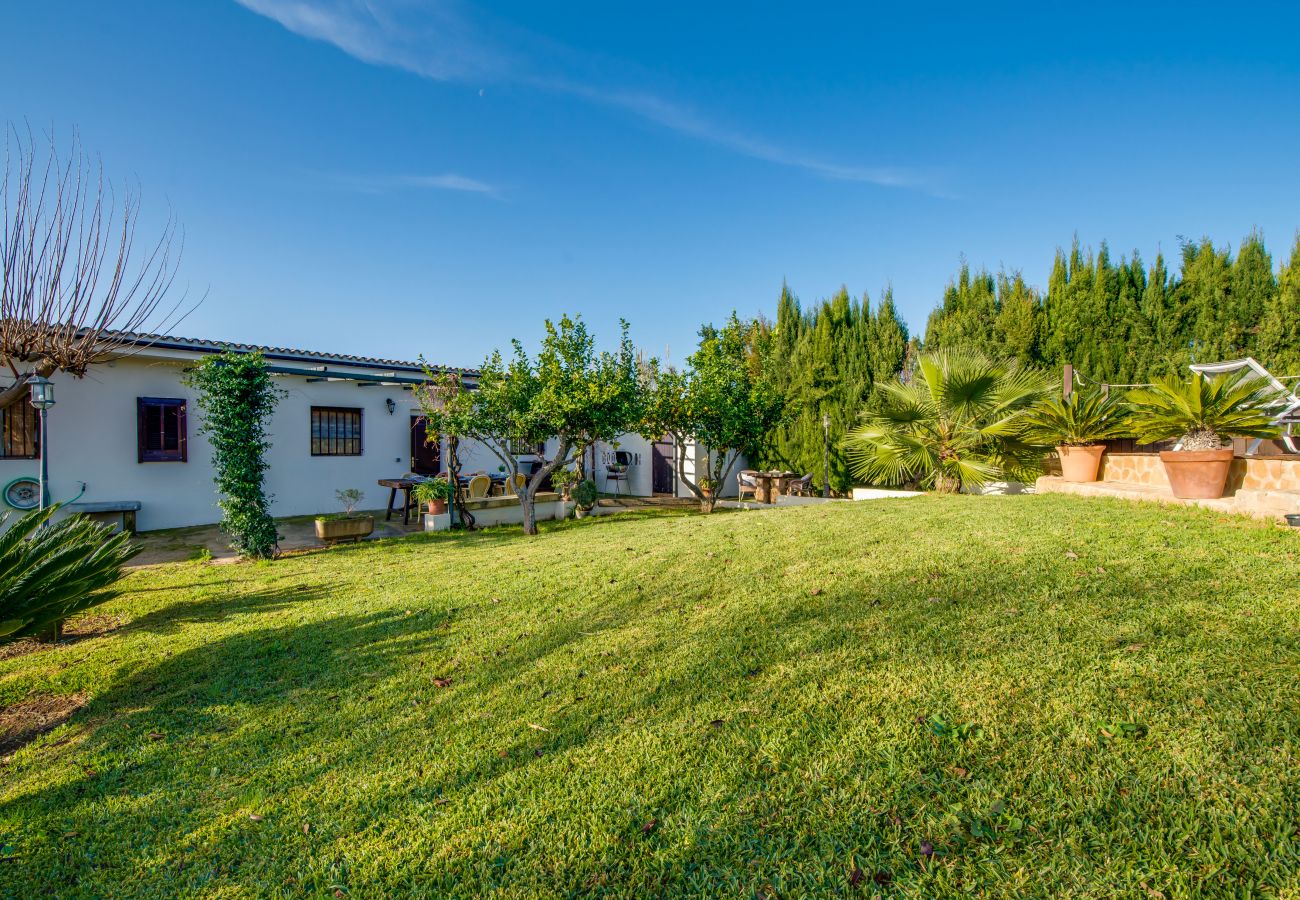 Finca en Alcúdia - Finca Alcudia Sa Vinya Vella cerca playa piscina