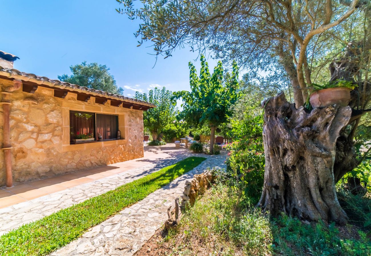 Finca en Capdepera - Finca en la naturaleza Na Babayana en Mallorca