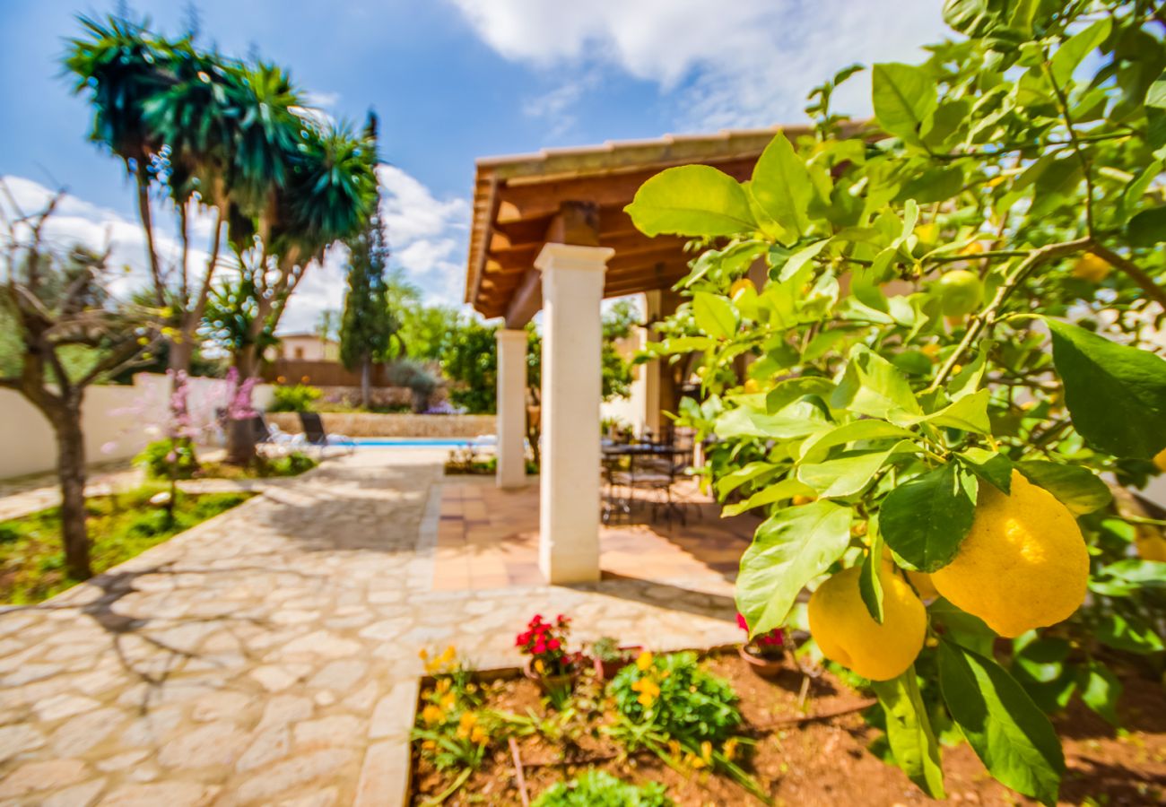 Casa en Ariany - Casa de vacaciones  Solivera con piscina en Mallorca