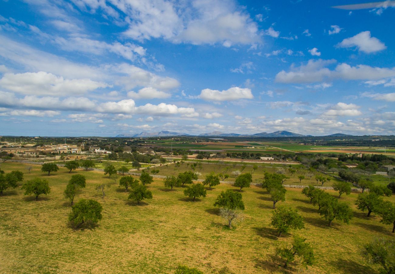 Casa en Ariany - Casa de vacaciones  Solivera con piscina en Mallorca