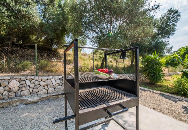 Finca en Selva - Finca rural en Mallorca Ses Comes con piscina