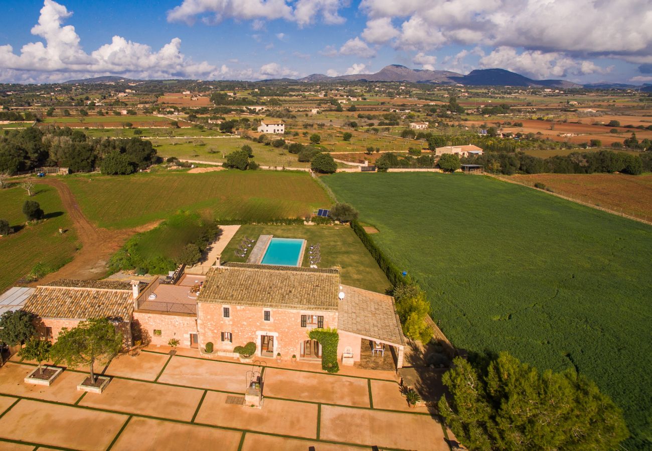 Finca en Manacor - Finca rural moderna en Mallorca Pleta con piscina 