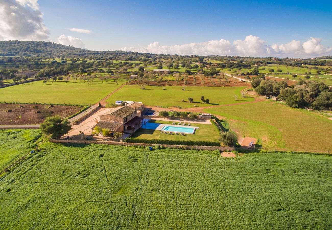 Finca en Manacor - Finca rural moderna en Mallorca Pleta con piscina 