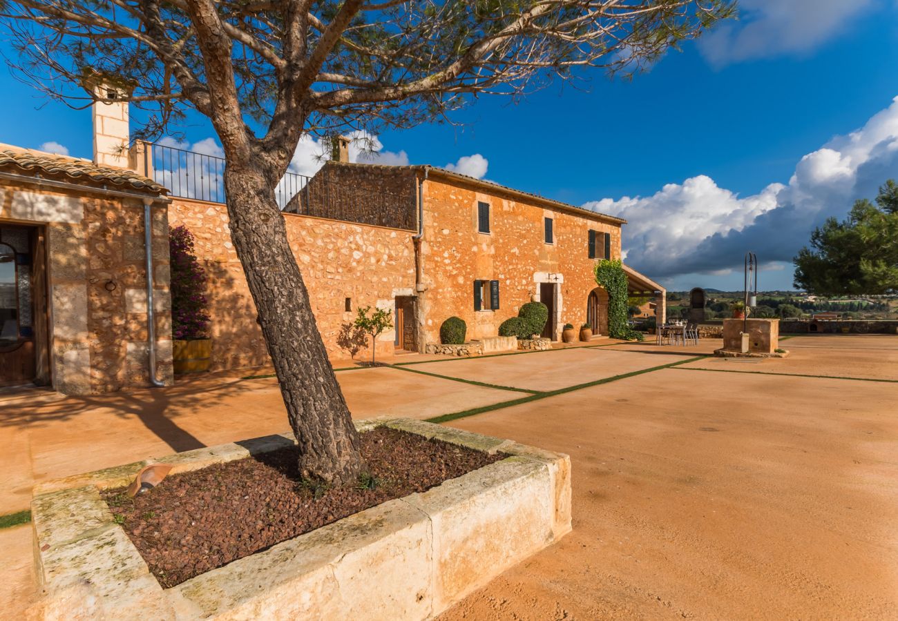 Finca en Manacor - Finca rural moderna en Mallorca Pleta con piscina 