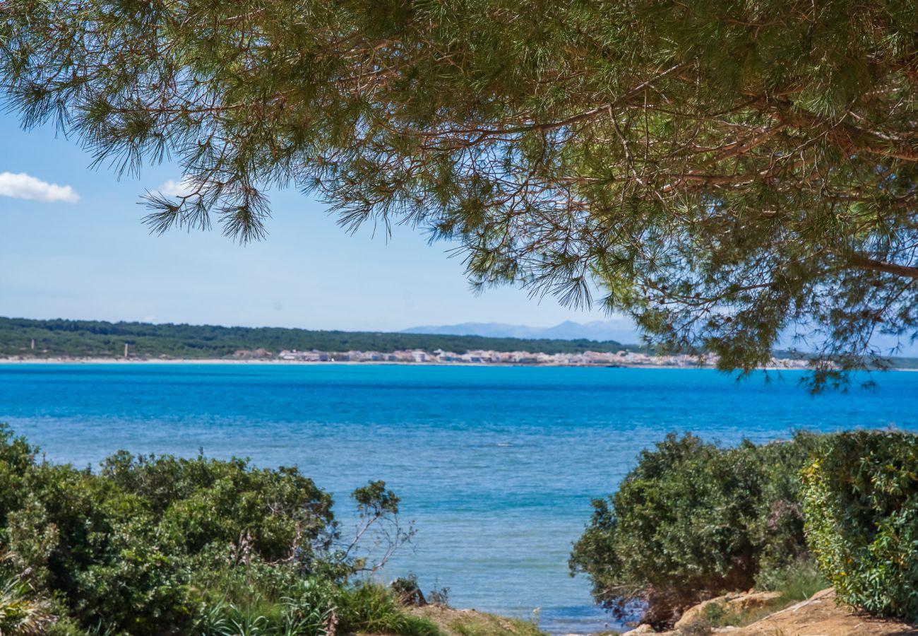 Finca en Santa Margalida - Finca Barranc de son fullos en Mallorca