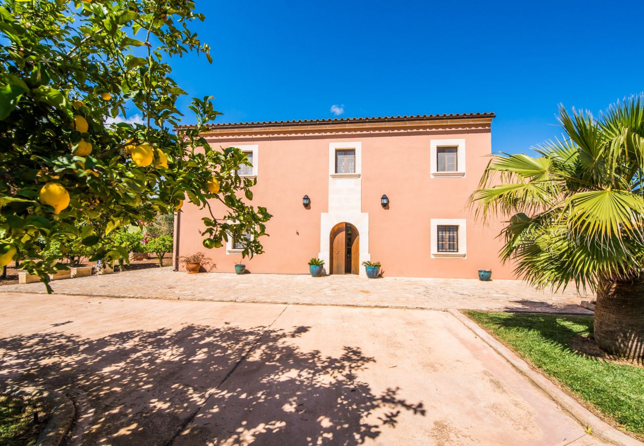 Finca en Felanitx - Finca rural en Mallorca Cas Cuni con piscina