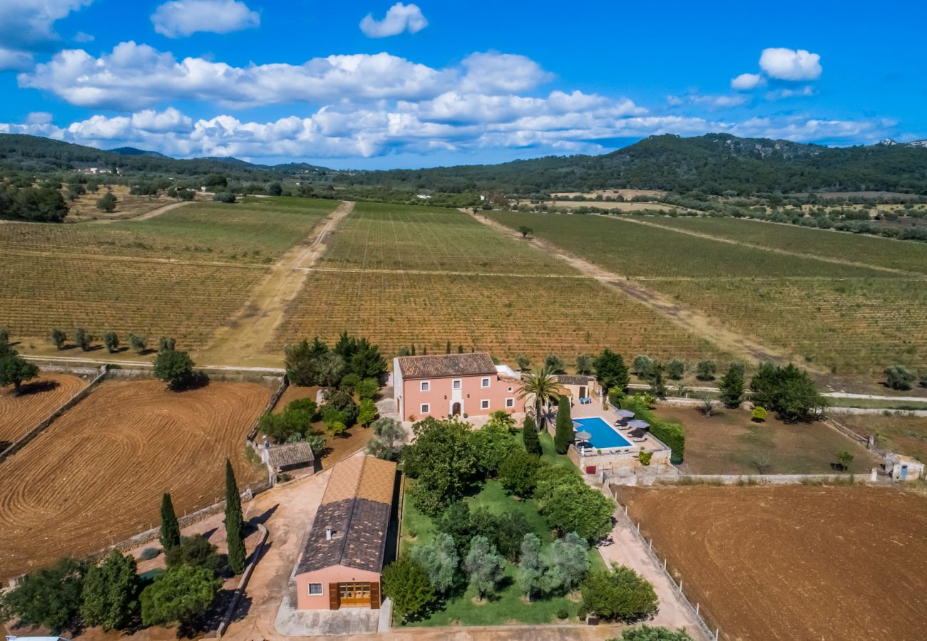 Finca en Felanitx - Finca rural en Mallorca Cas Cuni con piscina