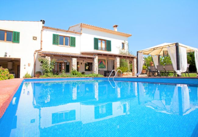 Finca con piscina en mitad de la naturaleza. 