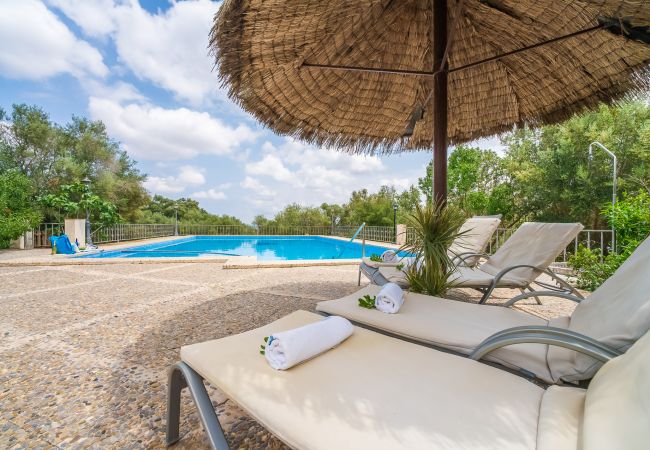 Finca en Petra - Finca Son Perxa en Mallorca con piscina y barbacoa Finca en Petra - Finca Son Perxa en Mallorca con piscina y barbacoa