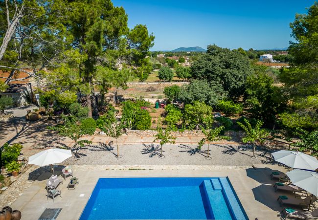 Finca en Binissalem - Finca con piscina Can Davero en Mallorca