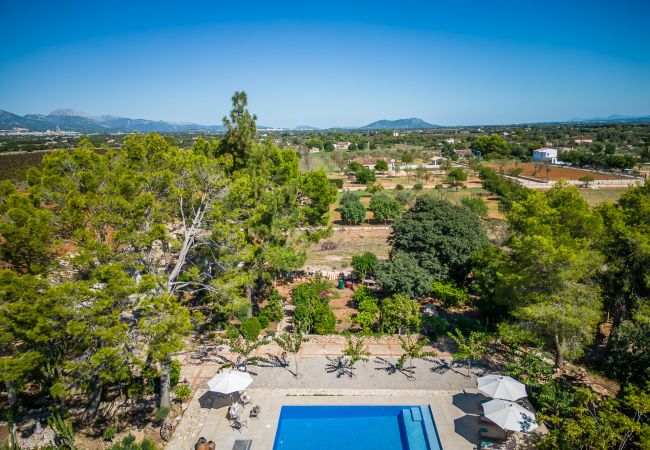 Finca en Binissalem - Finca con piscina Can Davero en Mallorca