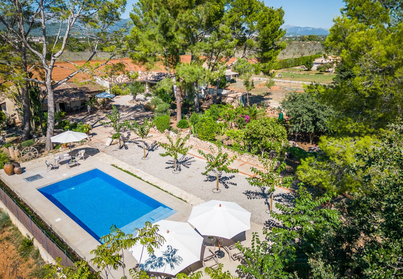 Finca en Binissalem - Finca con piscina Can Davero en Mallorca