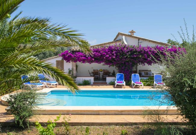 Finca con terraza y piscina en Pollensa. 