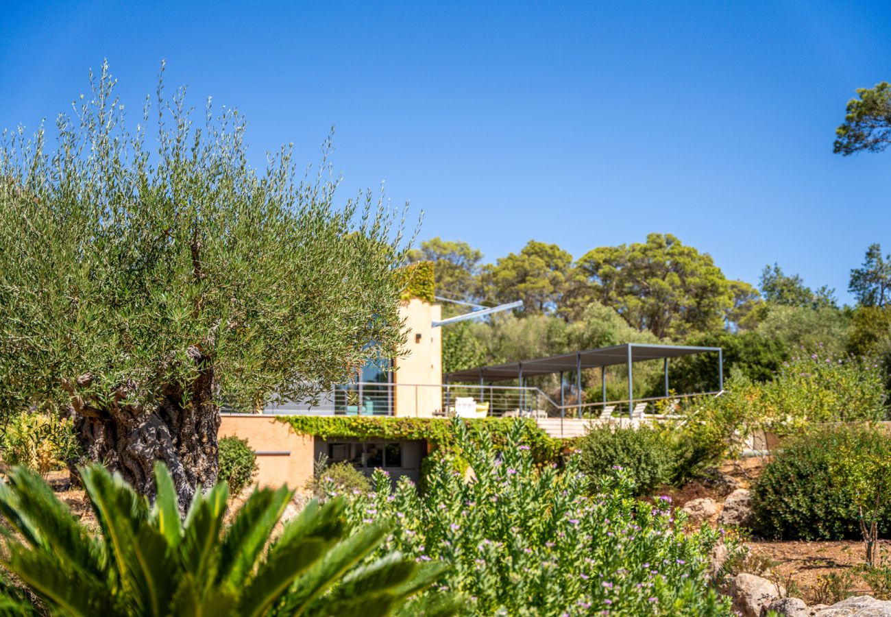 Finca en Sencelles - Finca con piscina Villa Laiar en Mallorca
