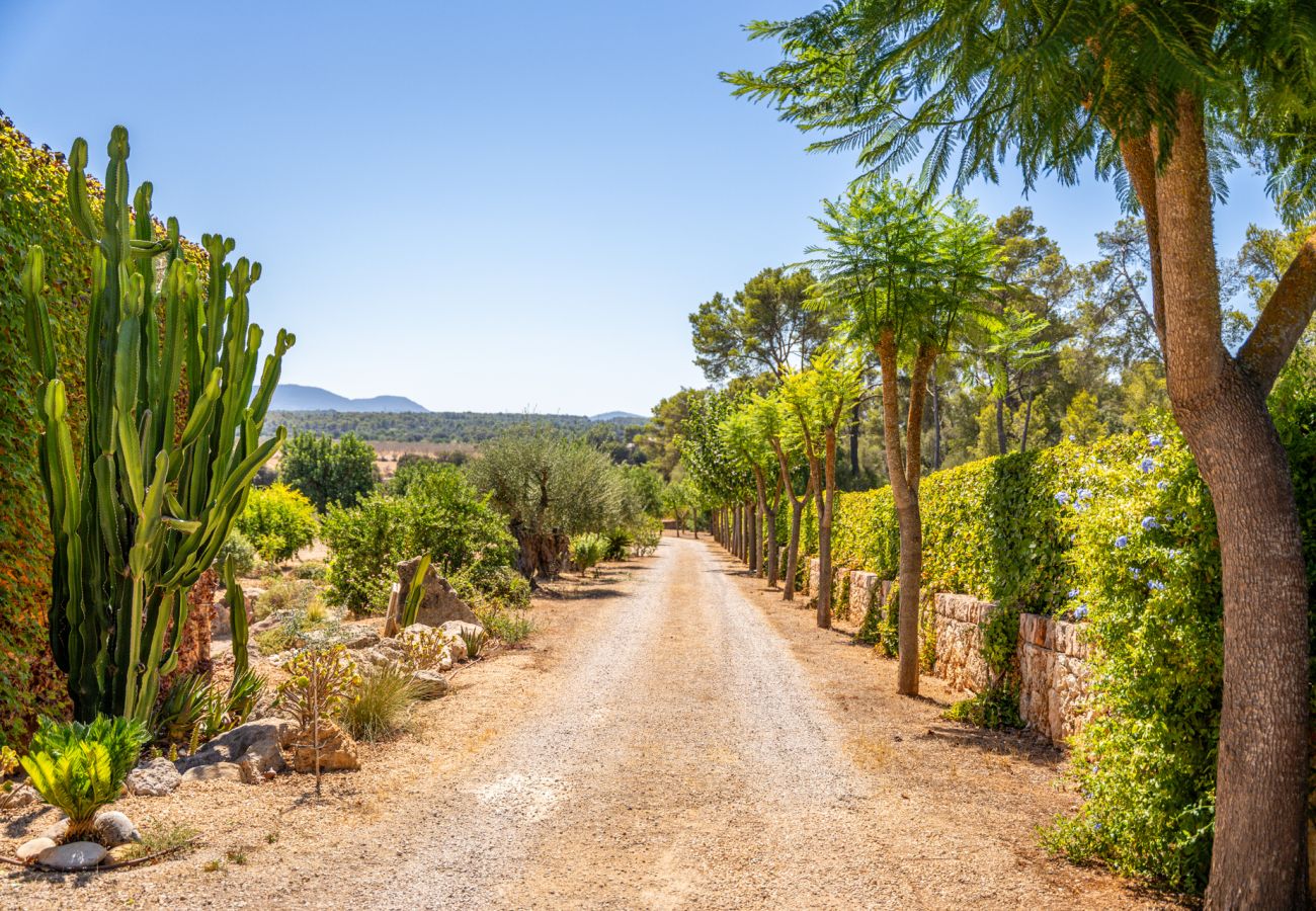 Finca en Sencelles - Finca con piscina Villa Laiar en Mallorca