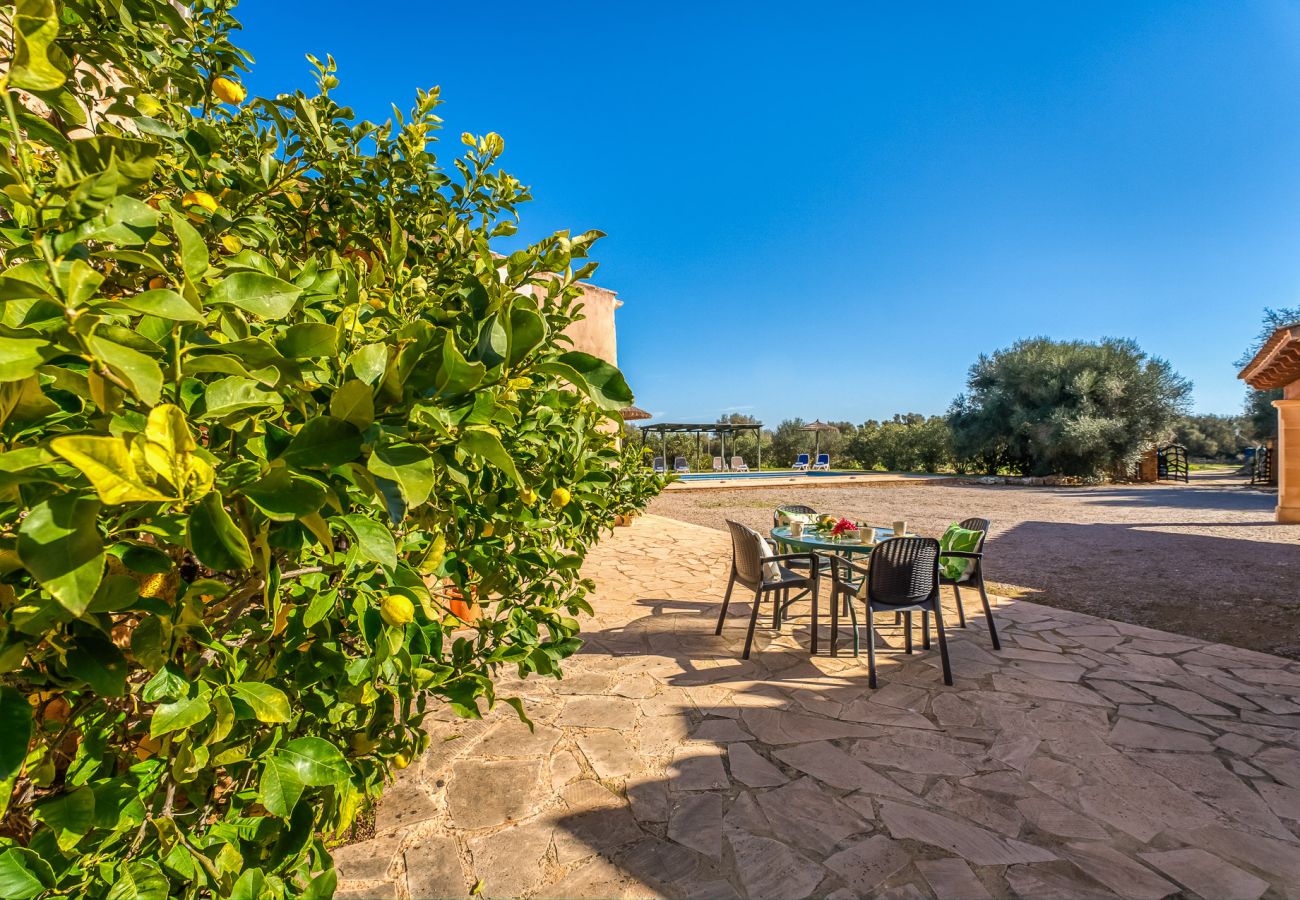Finca en Felanitx - Finca Rural en Mallorca Can Xim con piscina
