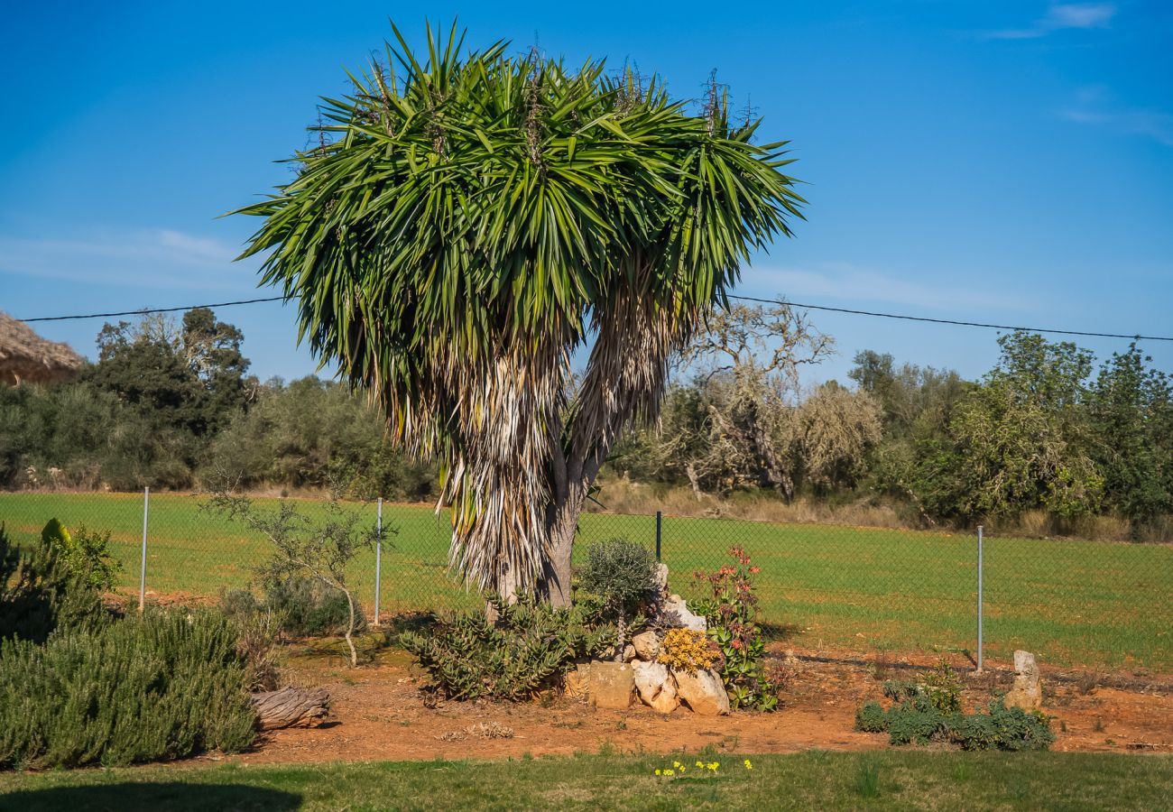 Finca en Felanitx - Finca Rural en Mallorca Can Xim con piscina