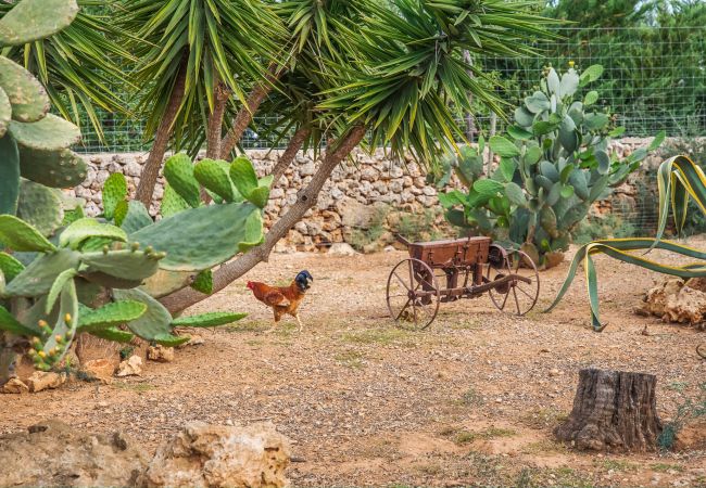 Finca en Santa Margalida - Casa en Santa Margarita Sa Rota con piscina Finca en Santa Margalida - Casa en Santa Margarita Sa Rota con piscina