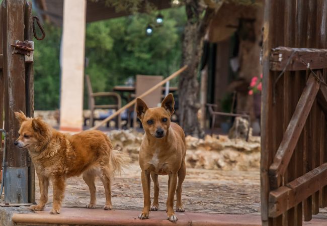 Finca en Santa Margalida - Casa en Santa Margarita Sa Rota con piscina Finca en Santa Margalida - Casa en Santa Margarita Sa Rota con piscina