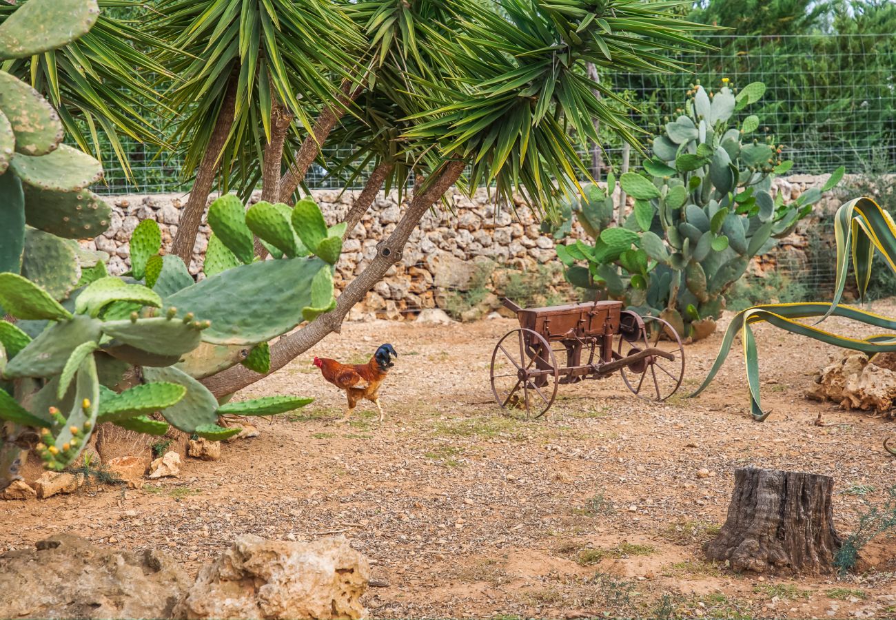 Finca en Santa Margalida - Casa en Santa Margarita Sa Rota con piscina