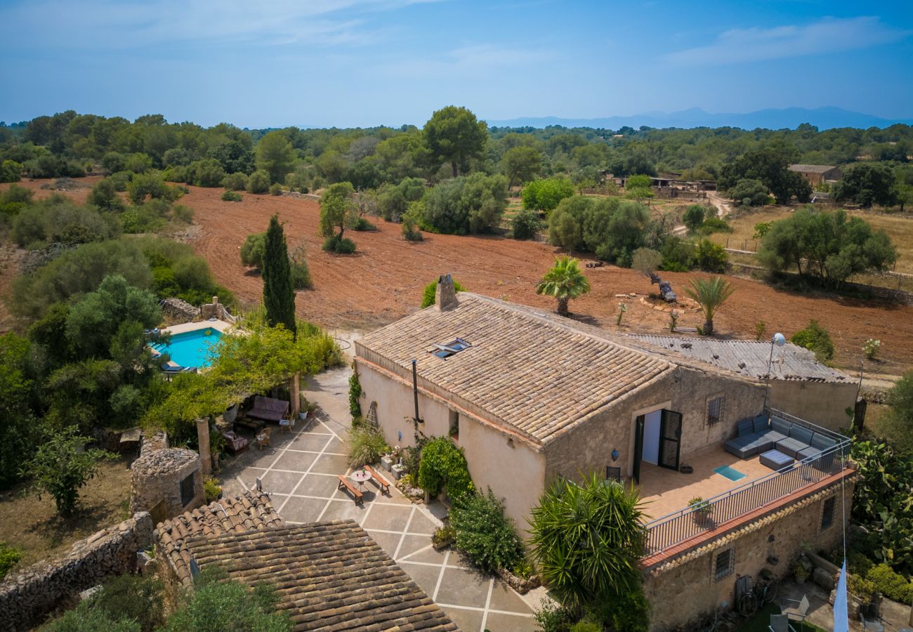 Finca en Algaida - Finca rural Can Lloret en Mallorca con piscina