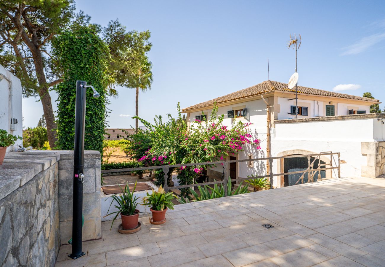 Finca en Sa Pobla - Finca con piscina Son Manyo Gran I Sa Pobla