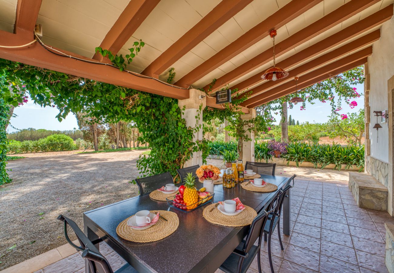 Finca con terraza privada y vistas Sa Pobla 