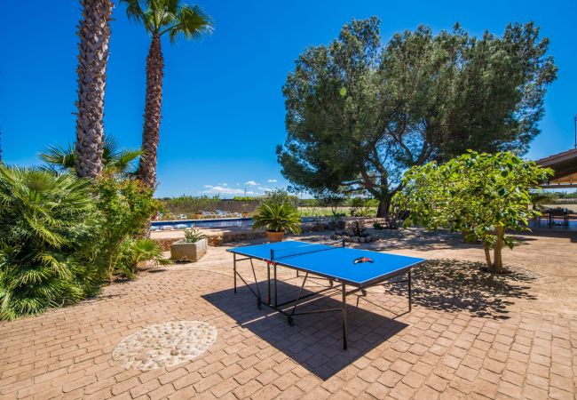 Domaine à Can Picafort - Propriété rurale Can Ribas à Can Picafort Domaine à Can Picafort - Propriété rurale Can Ribas à Can Picafort