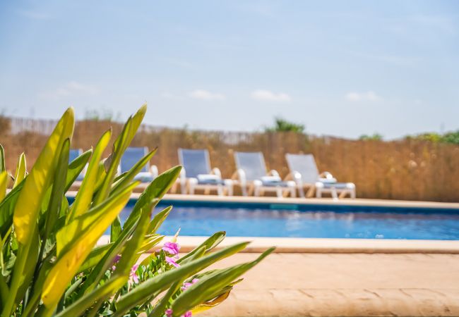 Domaine à Can Picafort - Propriété rurale Can Ribas à Can Picafort Domaine à Can Picafort - Propriété rurale Can Ribas à Can Picafort