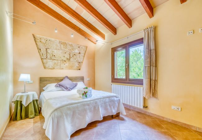 Domaine à Can Picafort - Propriété rurale Can Ribas à Can Picafort Domaine à Can Picafort - Propriété rurale Can Ribas à Can Picafort