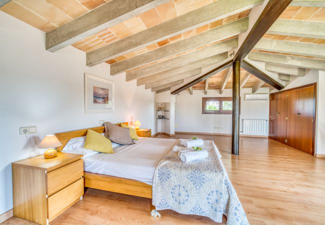 Domaine à Can Picafort - Propriété rurale Can Ribas à Can Picafort Domaine à Can Picafort - Propriété rurale Can Ribas à Can Picafort